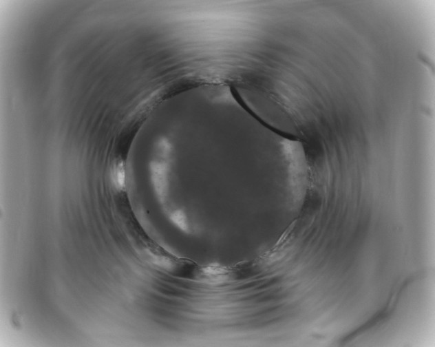 X0000096490095200802071953