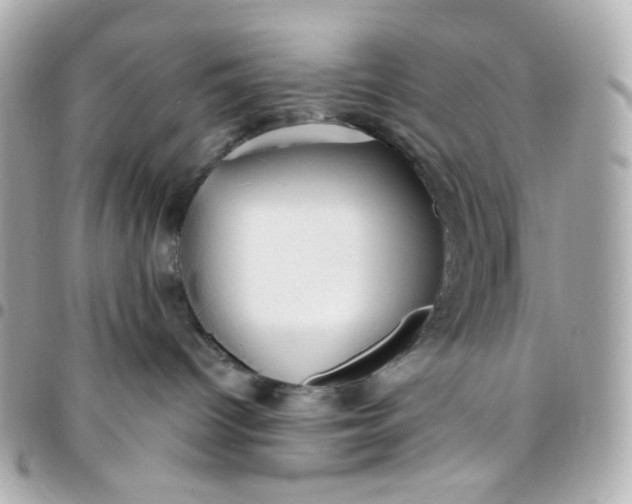 X0000096490096200802071953