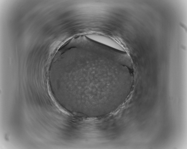 X0000096490097200802071952