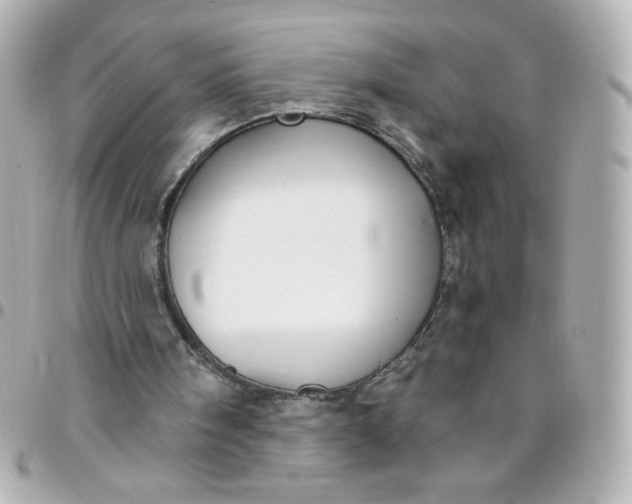 X0000096490098200802071952