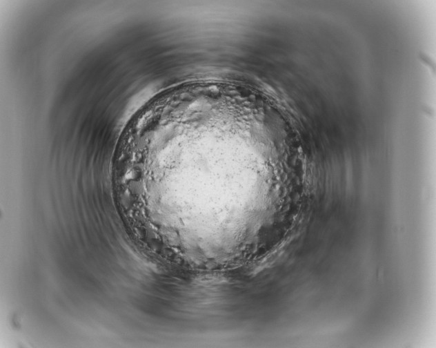 X0000096490099200802071952