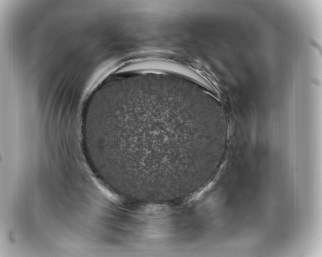 X0000096490101200802071952