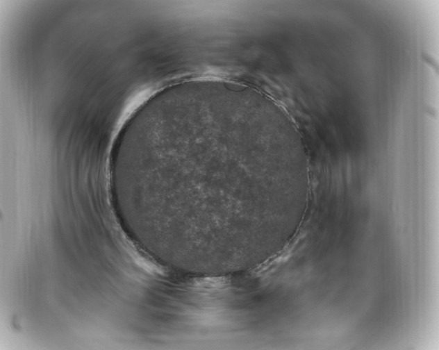 X0000096490102200802071952