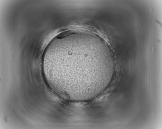 X0000096490103200802071952