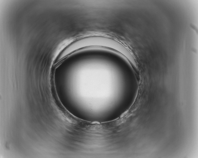 X0000096490104200802071952