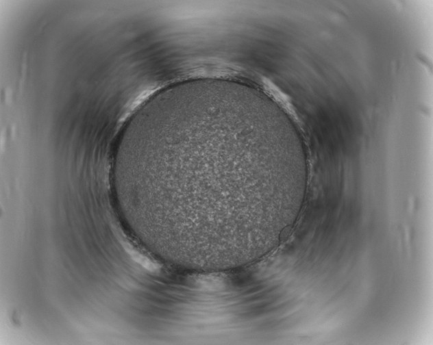 X0000096490106200802071952