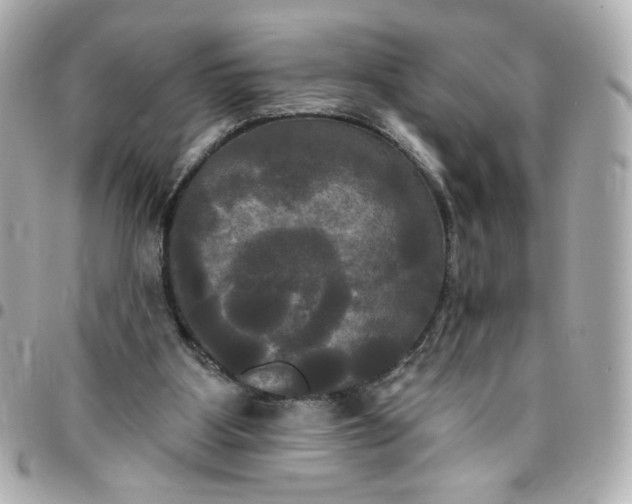 X0000096490107200802071952