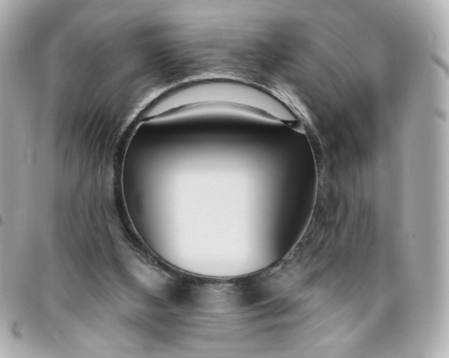 X0000096490108200802071952