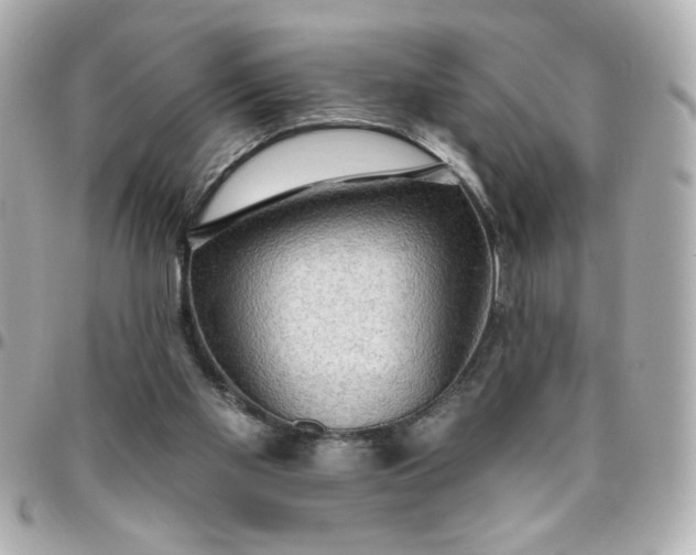 X0000096490109200802071952