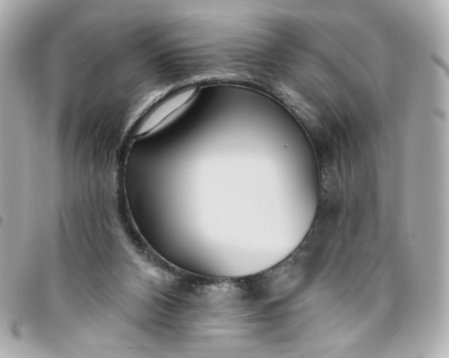 X0000096490112200802071951