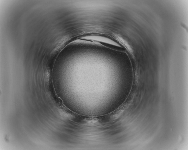 X0000096490113200802071951