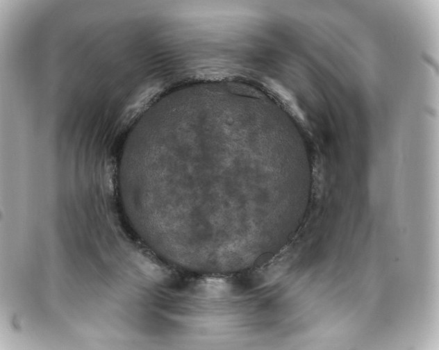 X0000096490114200802071951