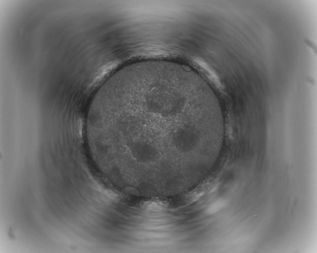 X0000096490115200802071951