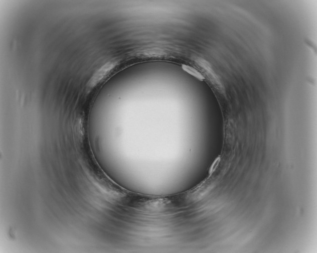 X0000096490116200802071951