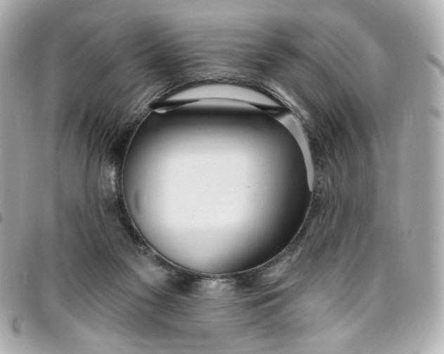 X0000096490117200802071951