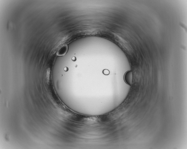 X0000096490118200802071951