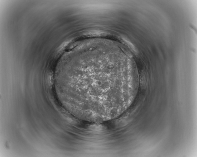 X0000096490119200802071951