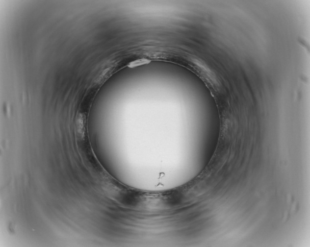 X0000096490121200802071951