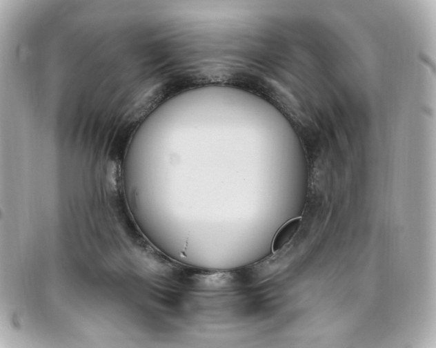 X0000096490122200802071951