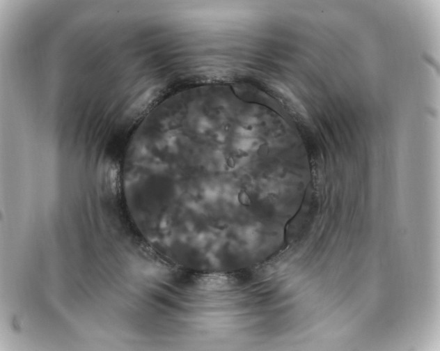 X0000096490123200802071951