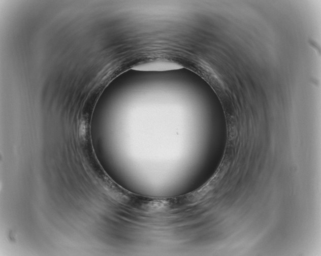 X0000096490124200802071951