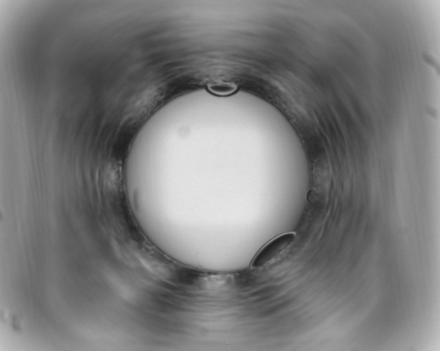 X0000096490126200802071951