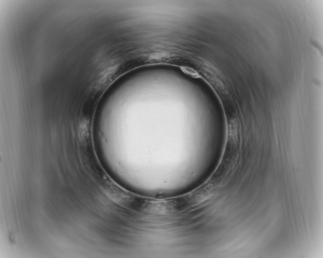 X0000096490127200802071951