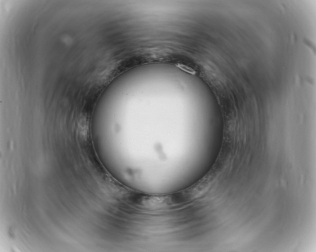 X0000096490129200802071951