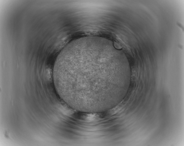 X0000096490130200802071951