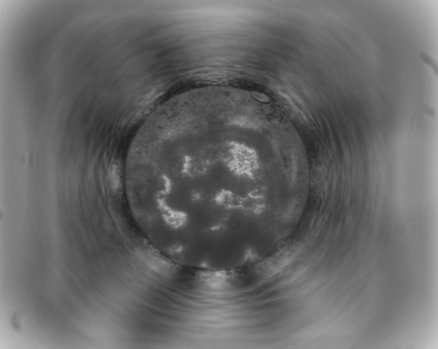 X0000096490131200802071951