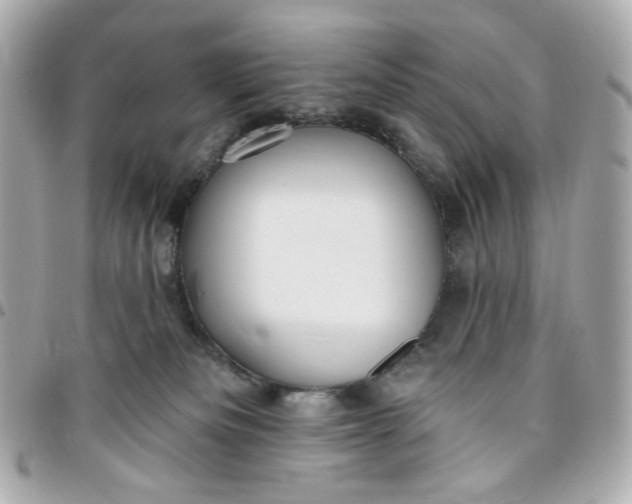 X0000096490133200802071951