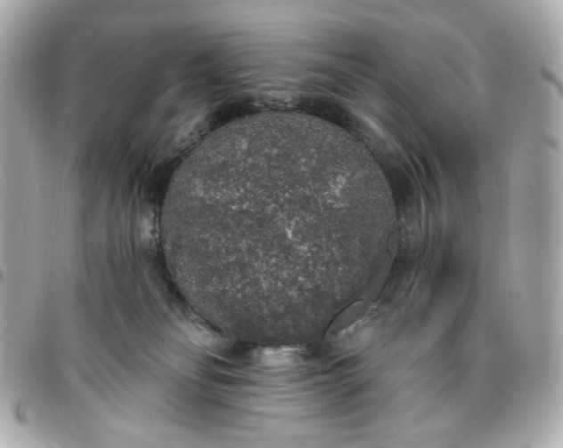 X0000096490134200802071951