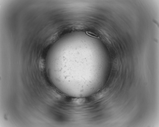 X0000096490135200802071951