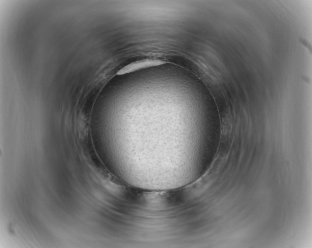 X0000096490136200802071951