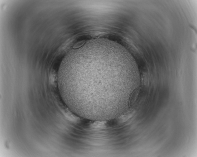 X0000096490138200802071951