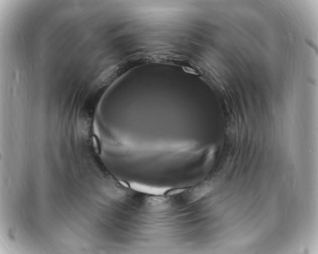 X0000096490139200802071951