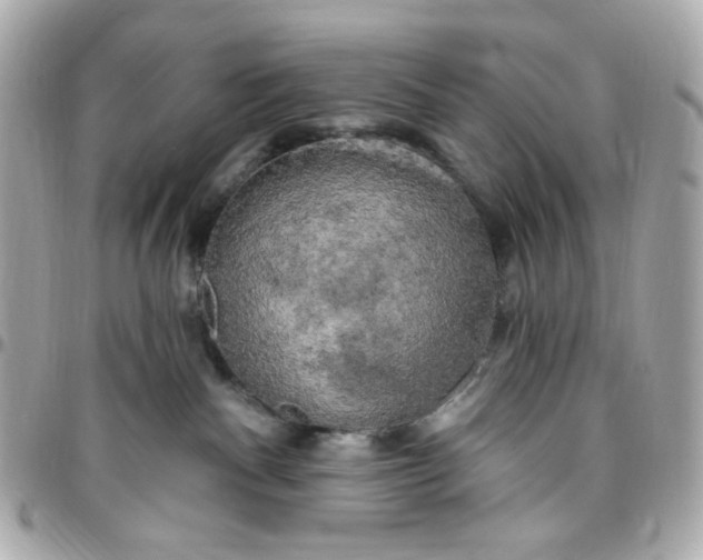 X0000096490140200802071951