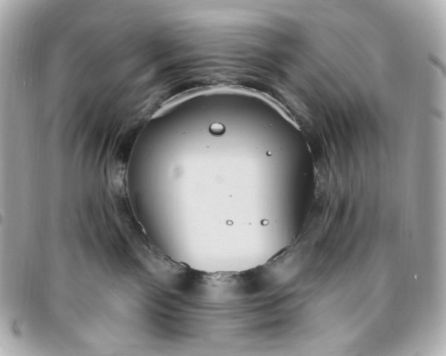 X0000096490141200802071951