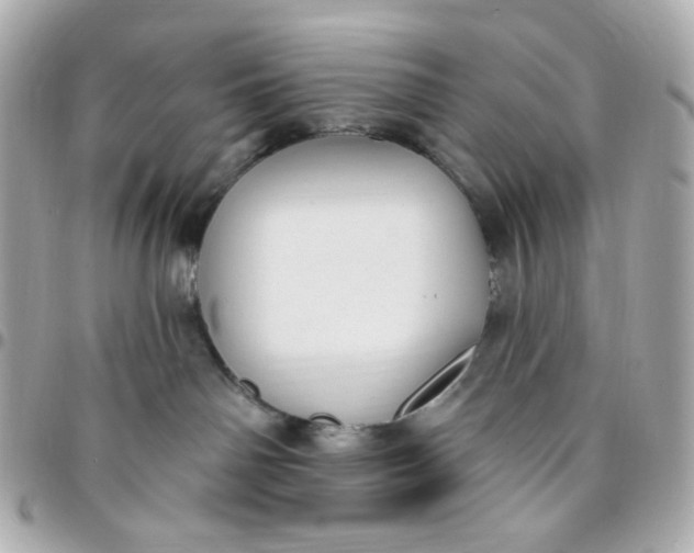 X0000096490142200802071951