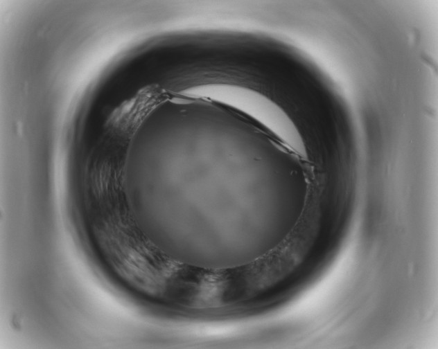 X0000096490143200802071951