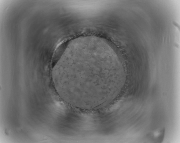 X0000096490144200802071951