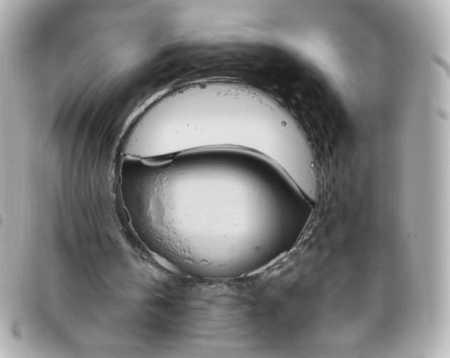 X0000096490146200802071950