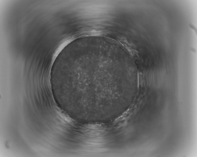 X0000096490147200802071950