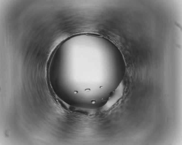 X0000096490148200802071950