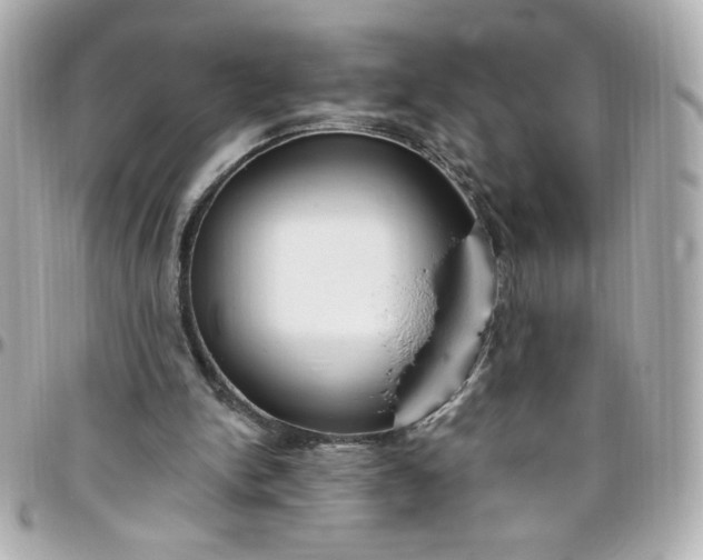 X0000096490150200802071950