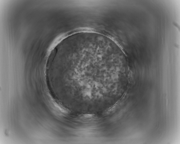 X0000096490151200802071950