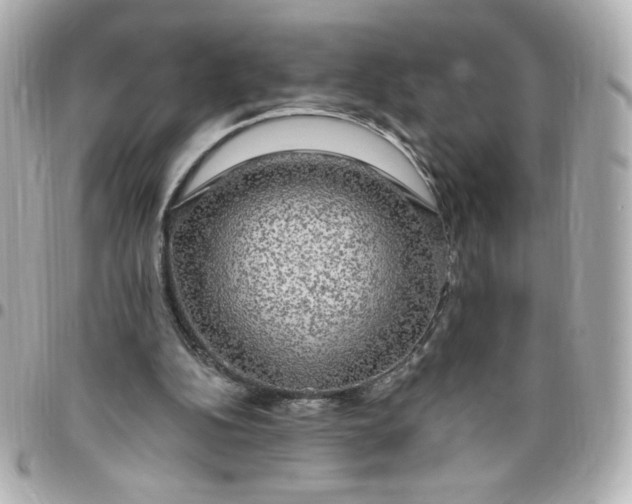 X0000096490152200802071950