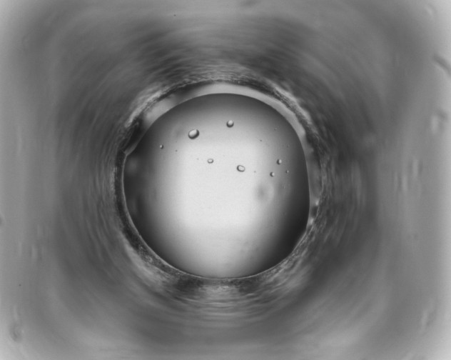 X0000096490154200802071951