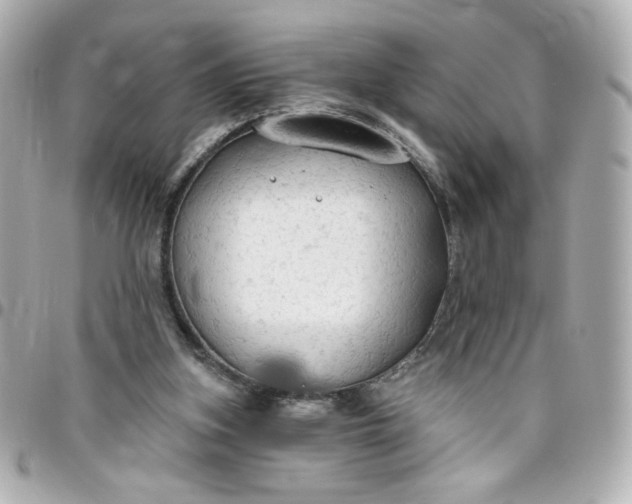 X0000096490155200802071951