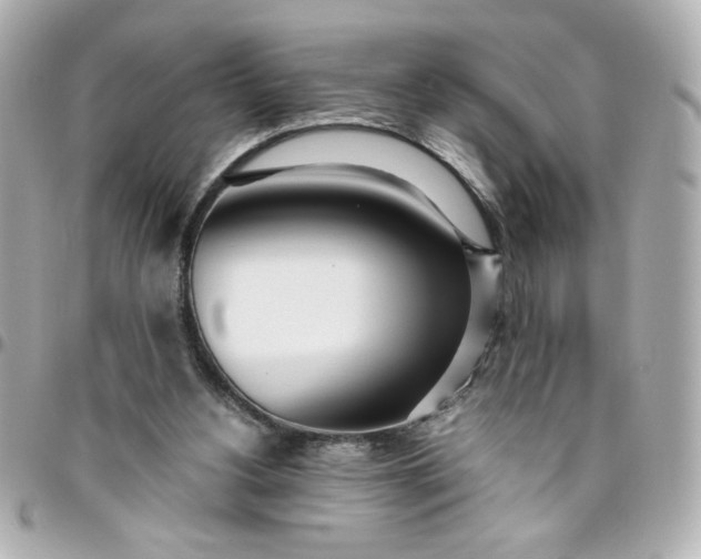 X0000096490156200802071951